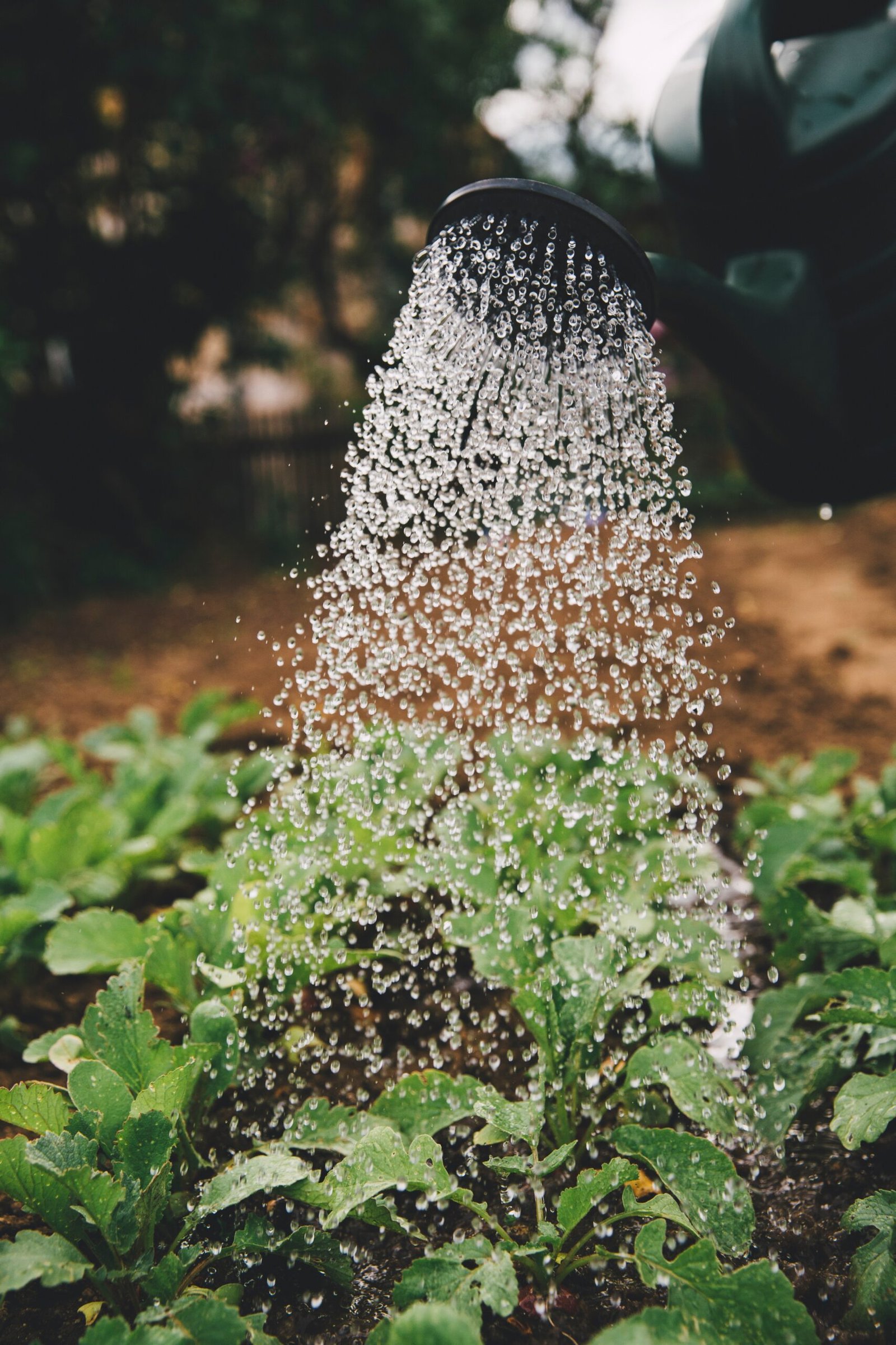 Explore the World of Botany, Horticulture, and Gardening with Online Courses and Products